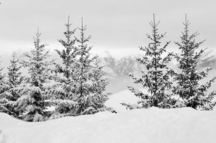 冬季滑雪公开课受家长学生欢迎，冬季滑雪公开课受家长学生欢迎怎么办