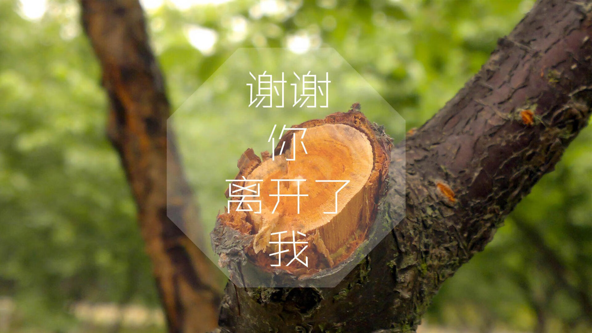 裁判判罚回放机制接受多方监督，裁判被罚下