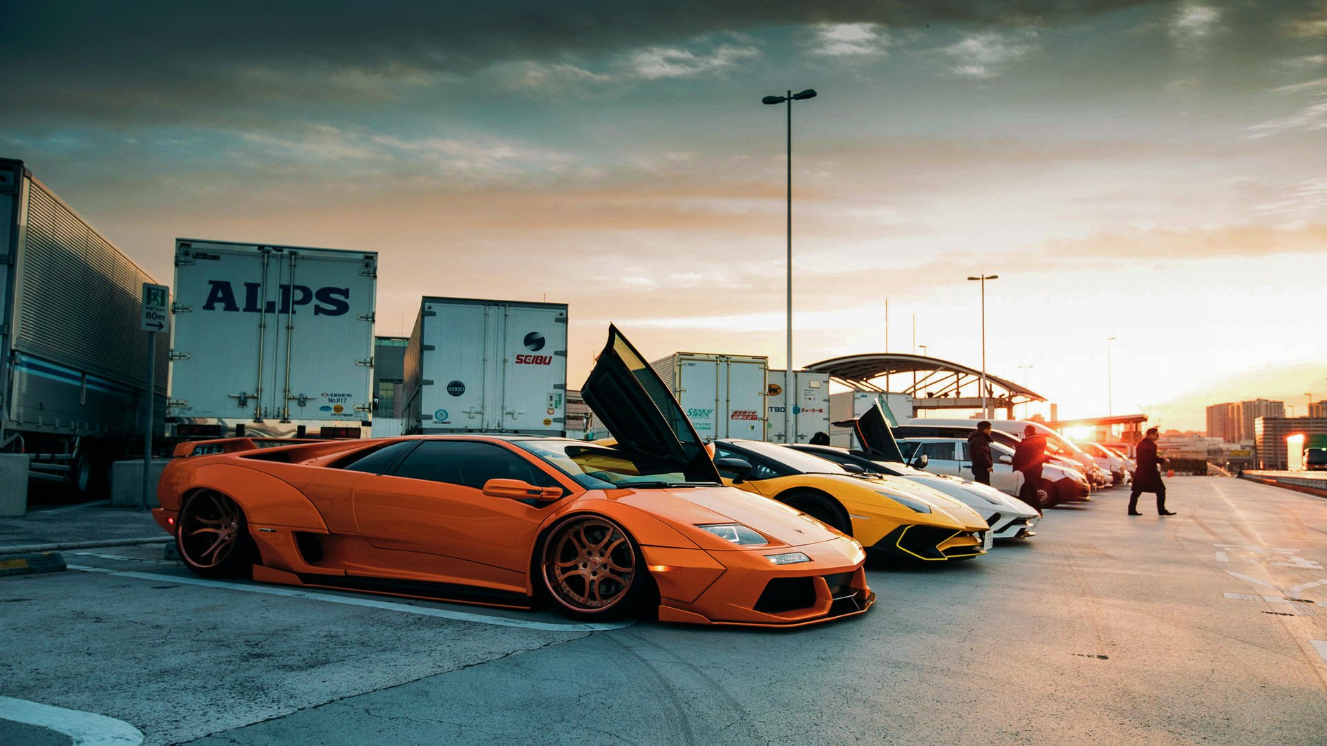 摩洛哥女篮在非洲锦标赛中夺冠，体育发展迈入新阶段，摩洛哥 非洲