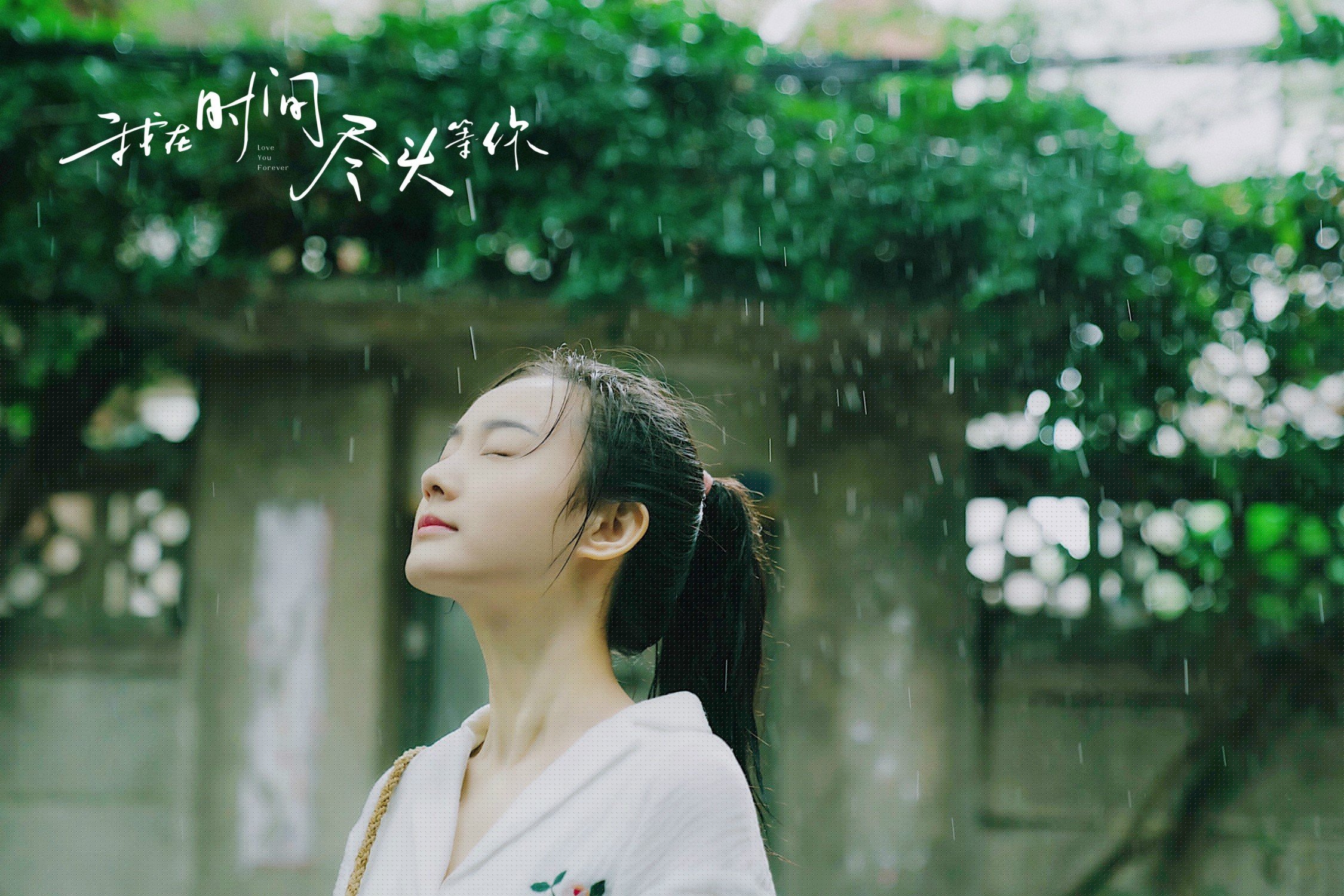 职业联赛品牌价值稳步回升媒体曝光量持续增长，职业联赛都有什么