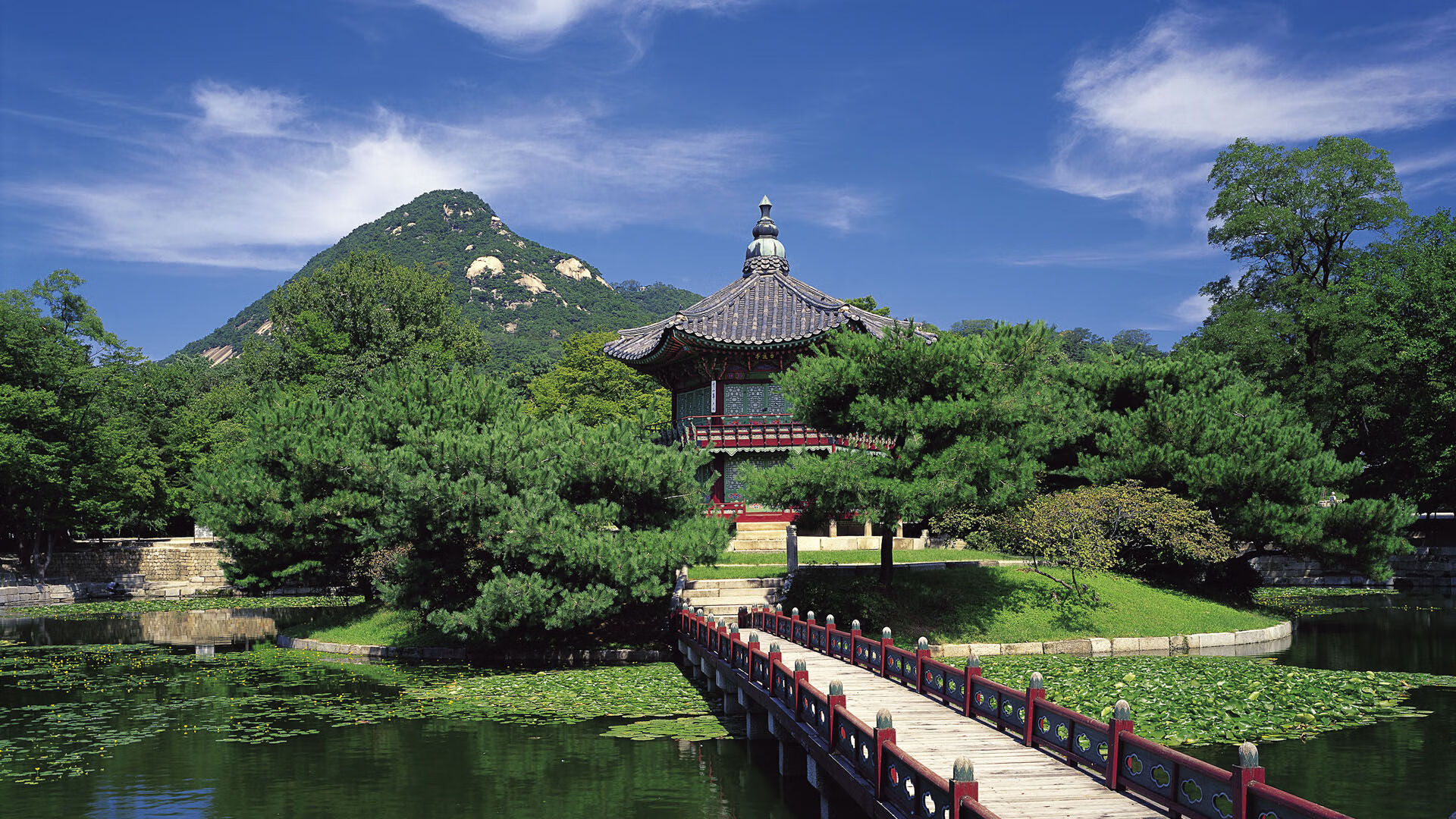 赞比亚男篮在非洲预赛中拼搏不止，逐步走向国际舞台，赞比亚篮球运动员