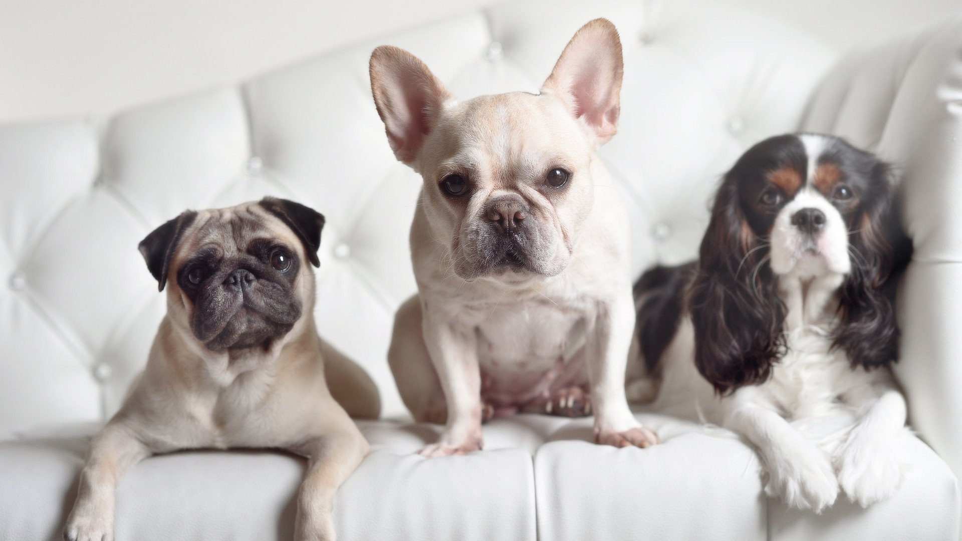 青年女篮连胜纪录被终结,教练强调成长价值,青年女子篮球
